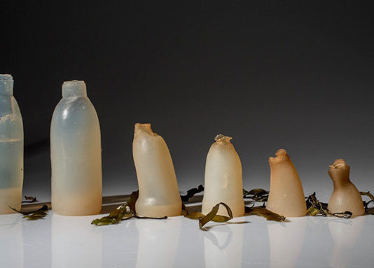 ВИДЕО: Ова шише вода почнува да се разградува веднаш штом ќе ја испиете водата