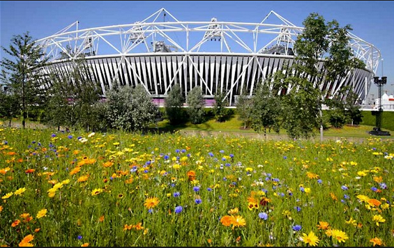 Лондон ќе сади 9 милиони диви цвеќиња