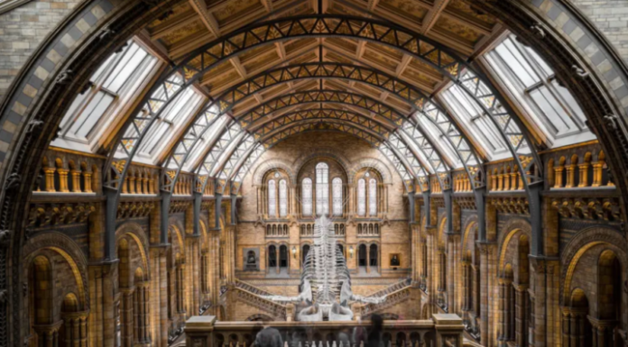 british museum
