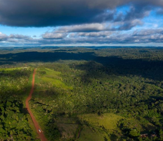 Пожарите во Амазонијa го забрзаа топењето на ледот на Андите