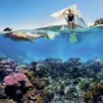 Австралискиот корален гребен исчезнува! Последните три децении се намалил за повеќе од 50%