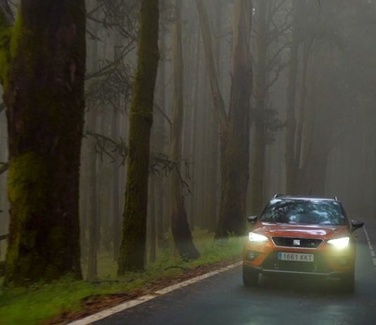 Сезонски совети за безбедно возење во есен