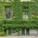 Сингапур има нов иновативен начин на дизајнирање на зградите