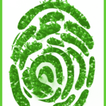 ФИТР и УСАИД Активноста за млади кои активно создаваат можности со нов предизвик за „Воспоставување на центар за обука за зелени работни места”