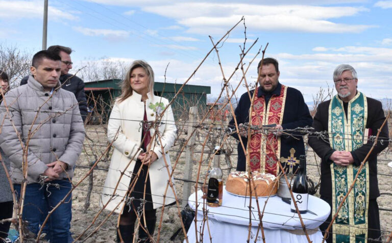 Традиционалното закројување на лозјата на „Тиквеш“ за Св. Трифун во знакот на новите прогресивни практики на винарницата