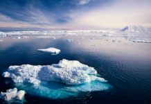 Научна мисија на Антарктикот случајно откри нов остров