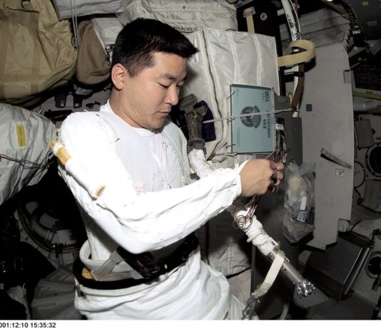 Кина ќе го испрати најмладиот астронаут и четири глувци во вселената