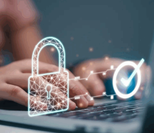 Усвоена Конвенцијата на ОН против сајбер криминал