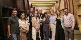 Кога уметноста на светлината и уметноста на виното зборуваат исто