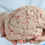 Откриена можната причина зошто се јавува губење на меморијата кај Алцхајмеровата болест