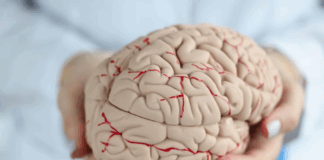 Откриена можната причина зошто се јавува губење на меморијата кај Алцхајмеровата болест