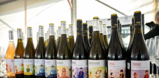 Бескрајно посветени на виното, традицијата и луѓето – одржано 16-то издание на Фестивалот на младо вино на „Тиквеш“