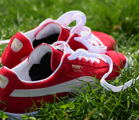 Кинезите ја преземаат Пума?