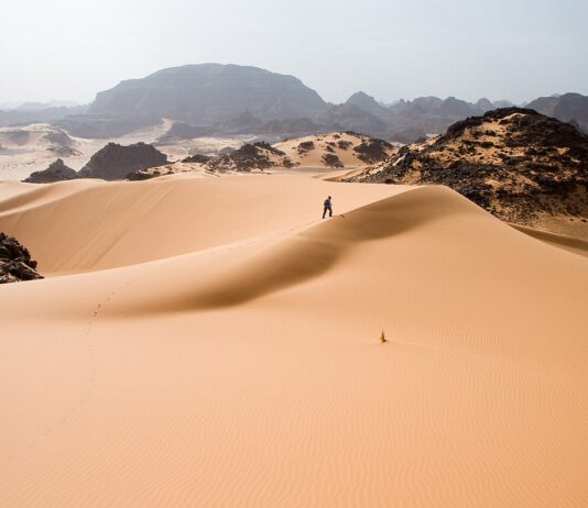 Египет воведува брзи возови кои ќе возат 250 км/ч низ пустината