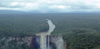 Само една земја во светот ja произведува сета храна што ѝ е потребна