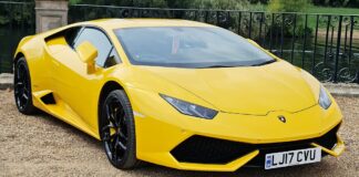 По фијаското со Ferrari, Lamborghini се откажува од електричните автомобили