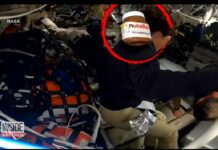 Од Omega до Nutella: брендови кои ја освоија вселената